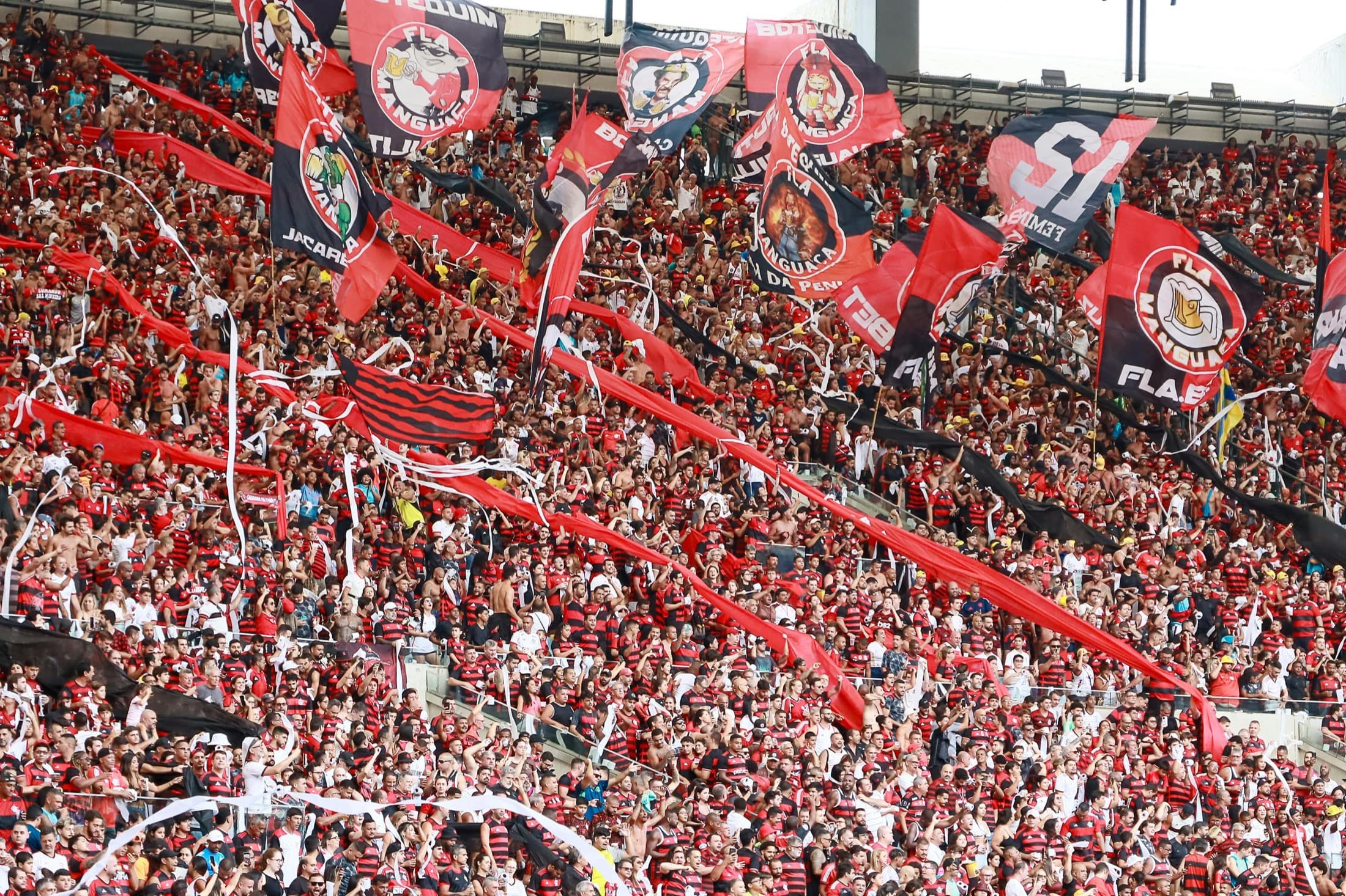 A crowd in motion at a live event